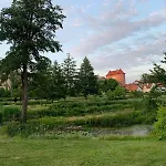 Krzywa *
