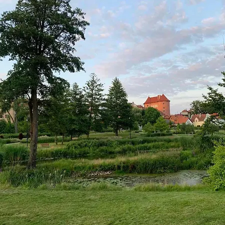 Krzywa *