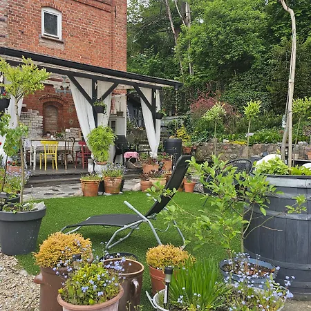 Krzywa ليدزبارك فارنيتسكي